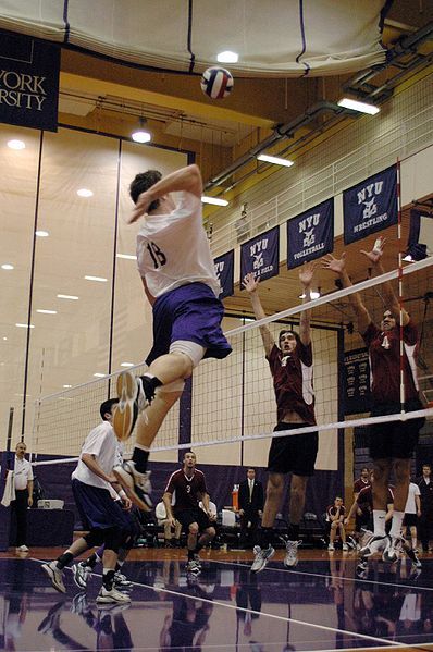 File:NYU volleyball.jpg