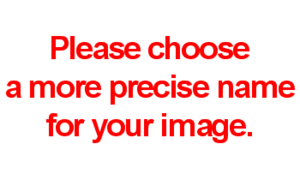 An editor has nominated the above file for discussion of its purpose and/or potential deletion. You are welcome to participate in the discussion and help reach a consensus.