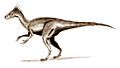 Ornitholestes