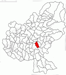 Location in Mureș County