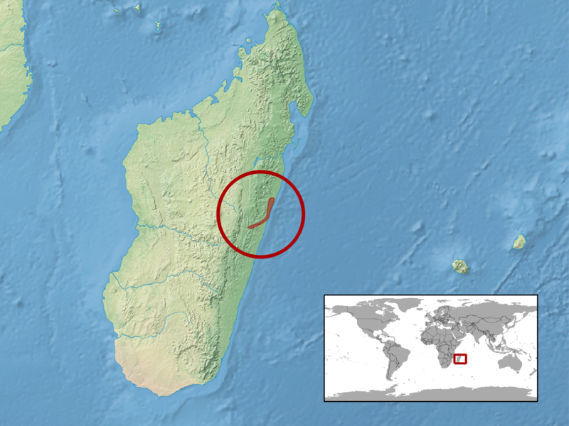 File:Phelsuma hoeschi distribution.png