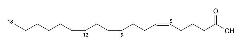 File:Pinolenic acid.svg