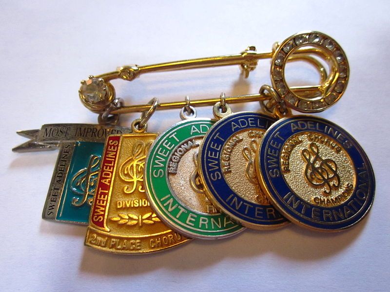 File:SAI medal bar.JPG