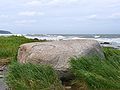 Image 56Erratics, boulders deposited by glaciers far from any existing glaciers, led geologists to the conclusion that climate had changed in the past. (from History of climate change science)