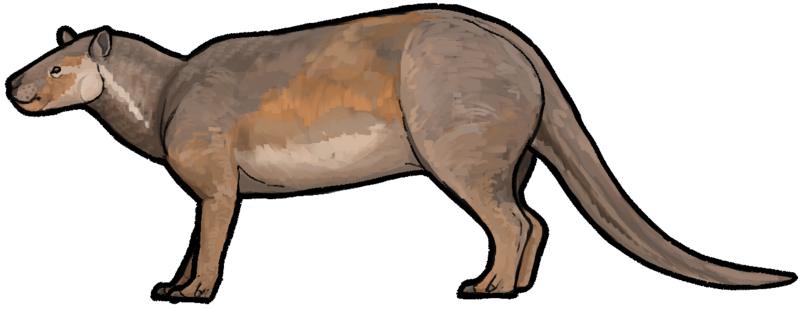 File:Tetraclaenodon puercensis.png