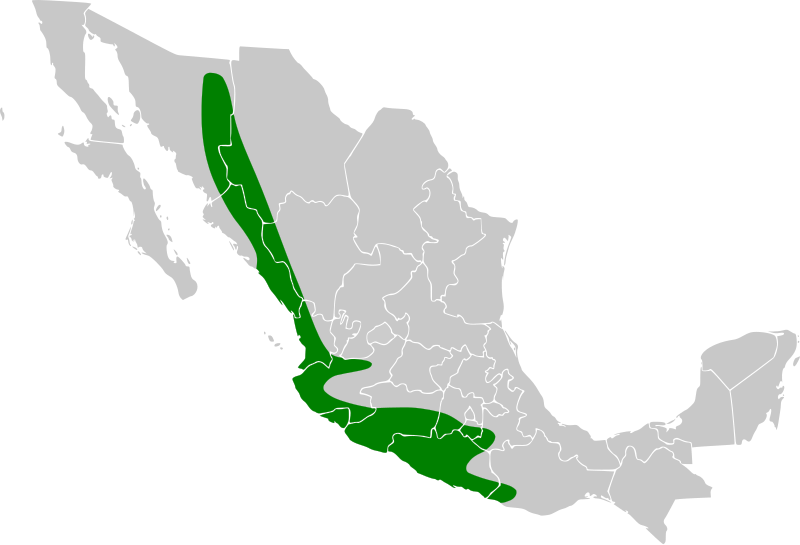 File:Thryophilus sinaloa map.svg