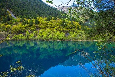 Tiger Lake