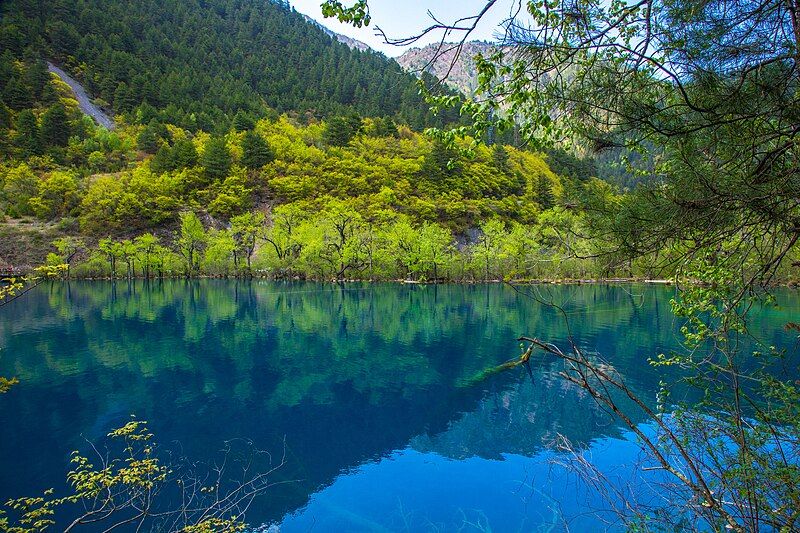 File:Tiger Lake Jiuzhaigou.jpg