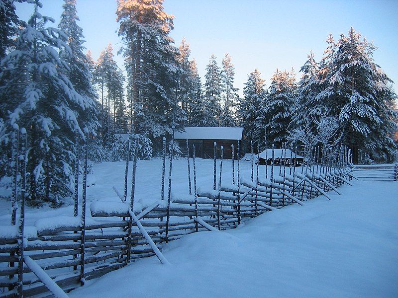 File:Wooden pole fence.JPG