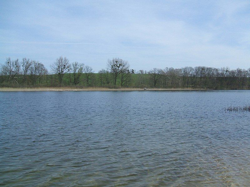 File:Zieskensee bei Puchow.jpg