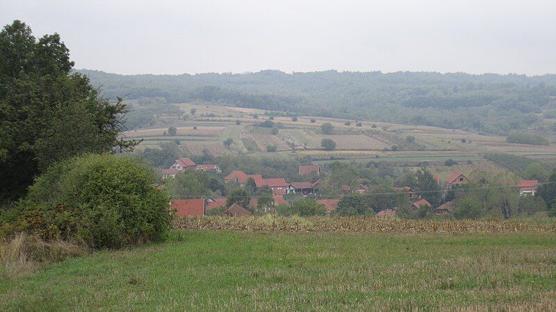 File:Zoljevo, Leskovac 05.JPG