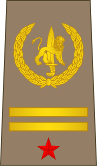 File:11-ROCongo Army-MAJ.svg