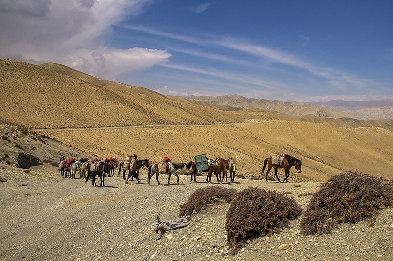 File:ACAP Desert Caravan.jpg