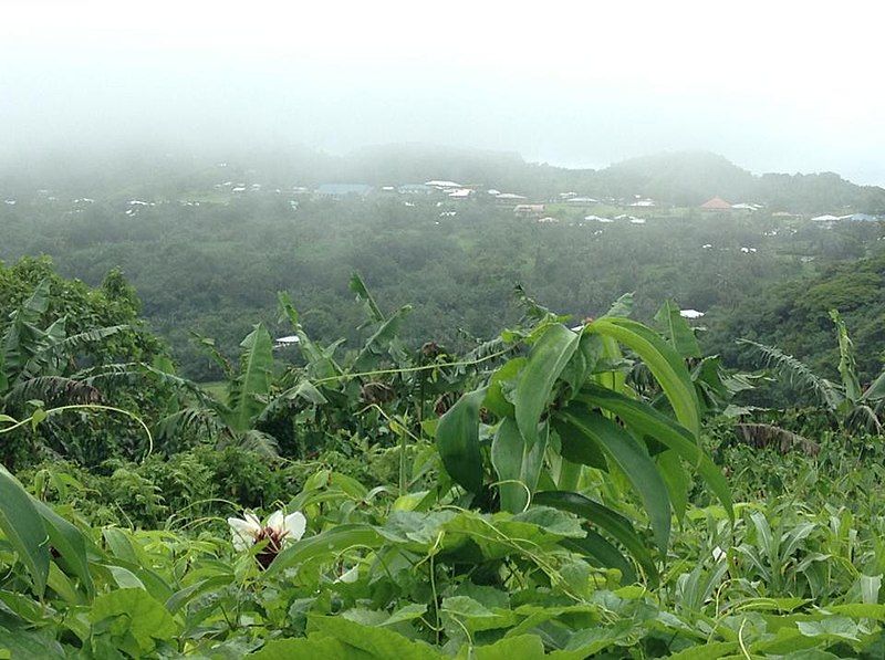 File:Aoloau Village .jpg