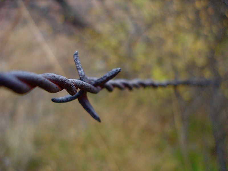 File:Artistic barbwire.JPG