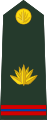 Master Warrant Officer