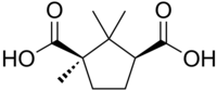 Skeletal formula of camphoric acid