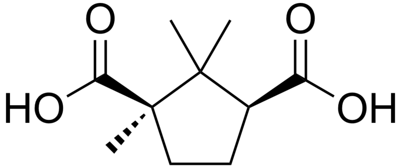 File:Camphoric acid.png