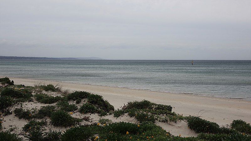 File:Carrum beach.jpg