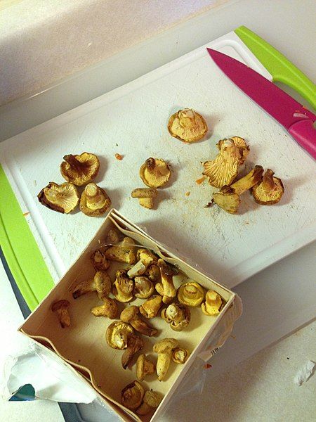 File:Chanterelle mushrooms.jpeg