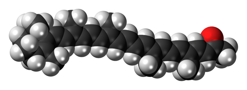 File:Citranaxanthin 3D spacefill.png