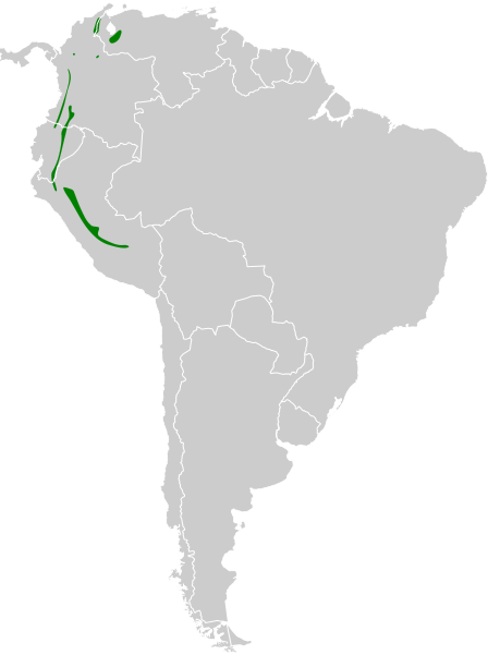 File:Conopias cinchoneti map.svg