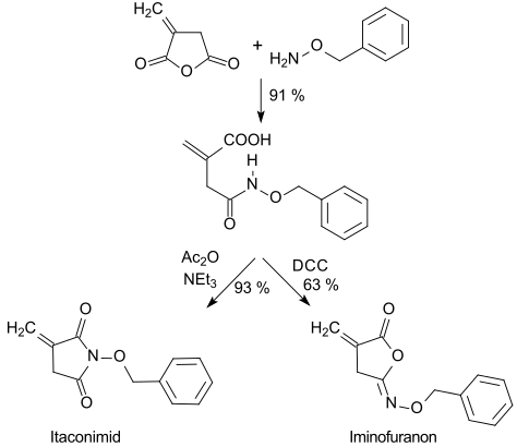 File:Cyclisierungsreaktionen von Itaconhydroxamsäuren.svg