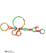 drz-Agam-2-2: Another self-cleaving ribozyme found in Anopheles gambiae