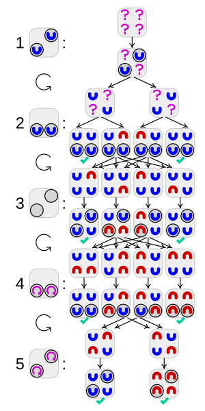 File:Four glasses puzzle.svg