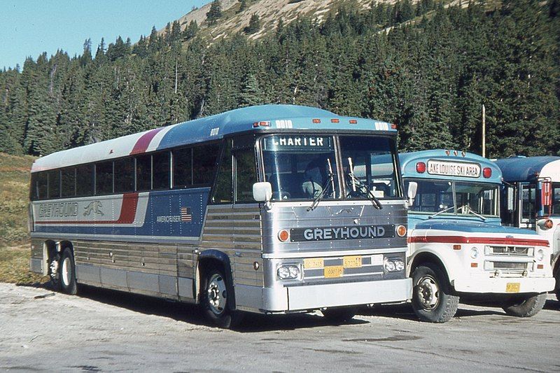 File:Greyhound (15743605663).jpg