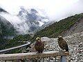 Arthur's Pass