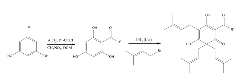 File:Lupulone synthesis.png