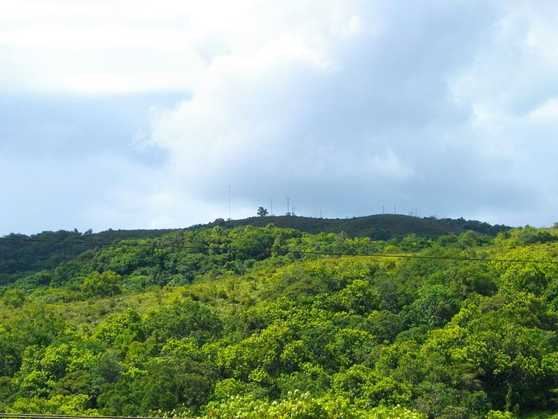 File:Mount Ngerchelchuus.JPG