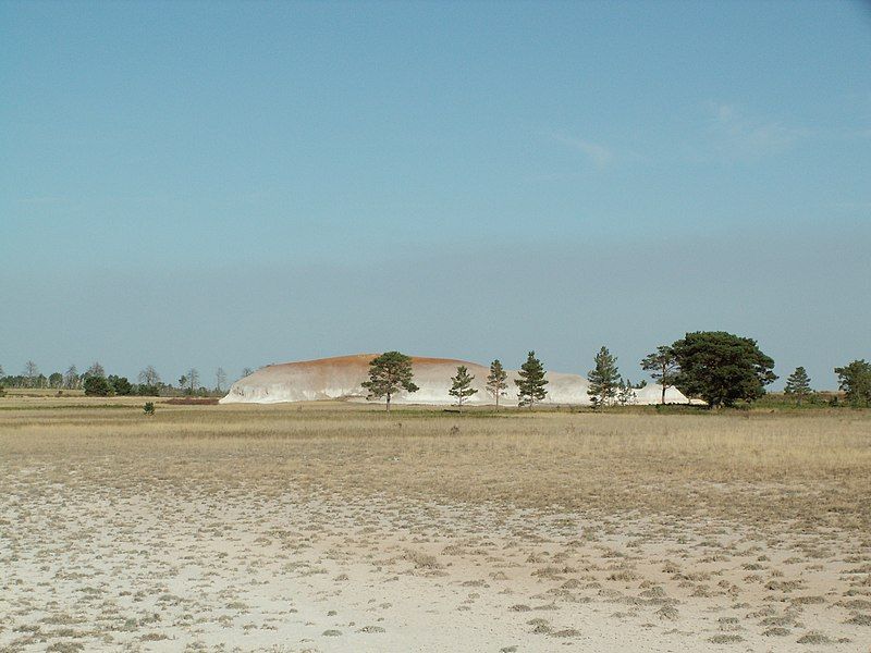 File:Naurzum nature reserve.JPG