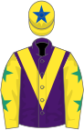 Purple, yellow chevron, yellow sleeves, emerald green stars, yellow cap, royal blue star