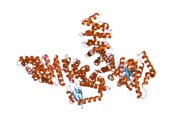 2jdq: C-TERMINAL DOMAIN OF INFLUENZA A VIRUS POLYMERASE PB2 SUBUNIT IN COMPLEX WITH HUMAN IMPORTIN ALPHA5