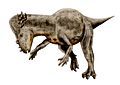 Pachycephalosaurs