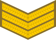 File:SAA-OR-6.svg