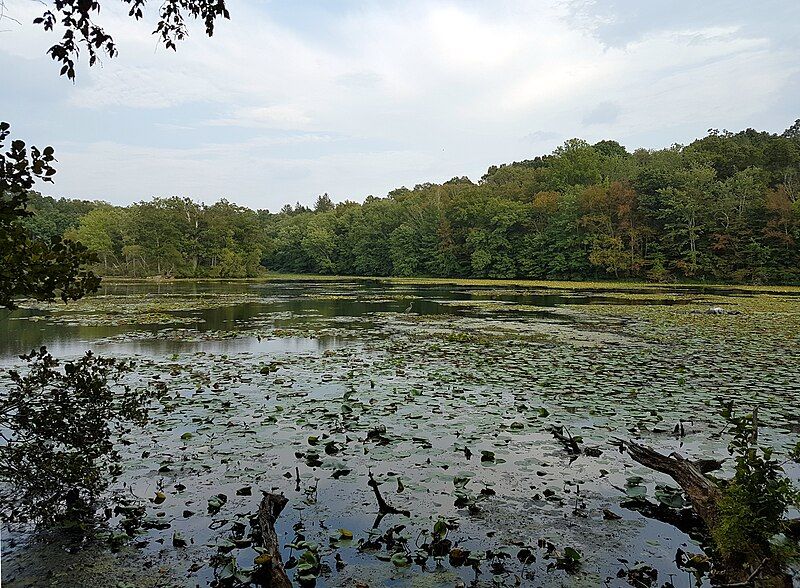 File:Tea Town Lake.jpg