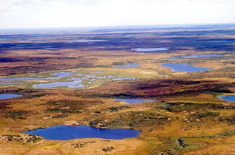 File:Tundra in Siberia.jpg