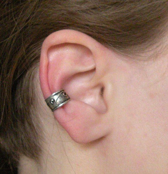 File:Bague d'oreilles.JPG