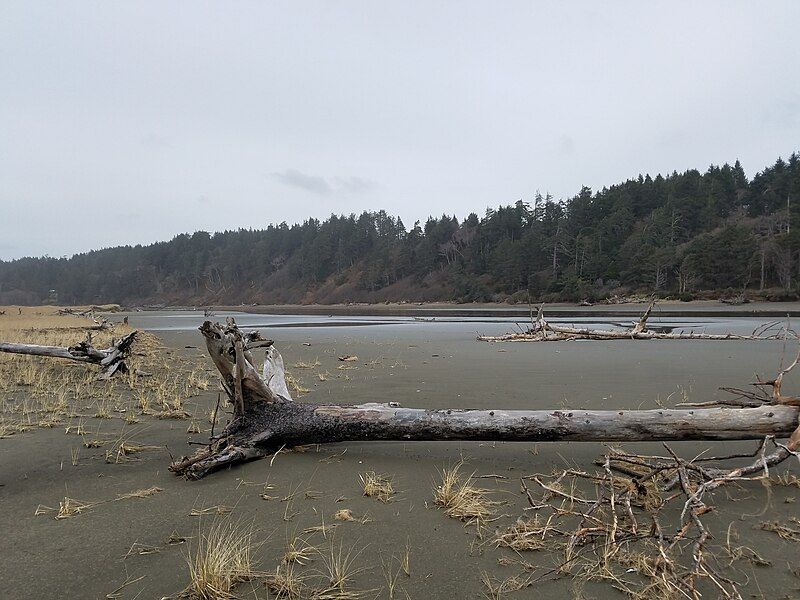 File:Copalis River mouth.jpg