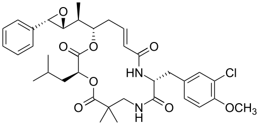 File:Cryptophycin 52.svg