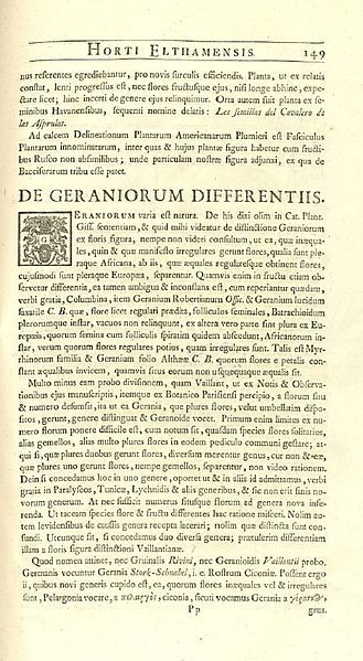 File:Dillenius Pellargonium.jpg