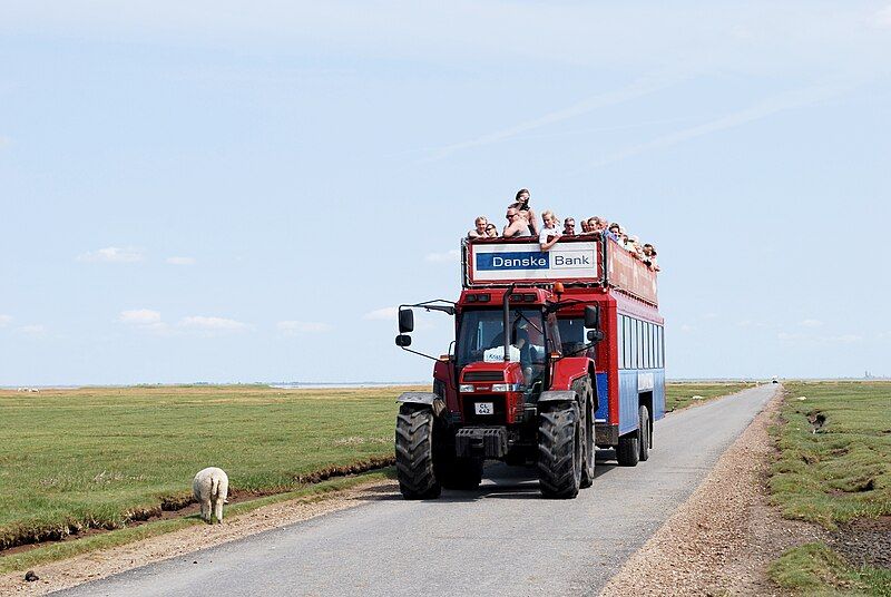 File:Mandøbussen 2010.jpg