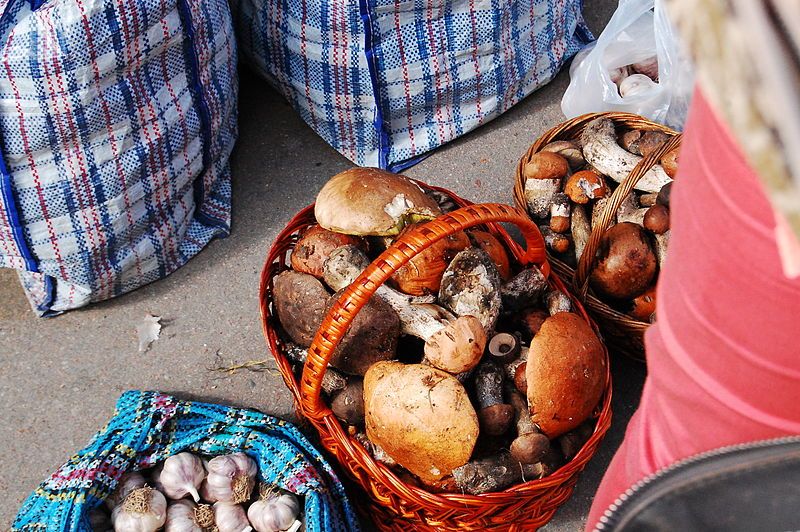 File:Market Mushrooms.JPG