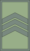 File:North-Macedonia-Army-OR-3b.svg