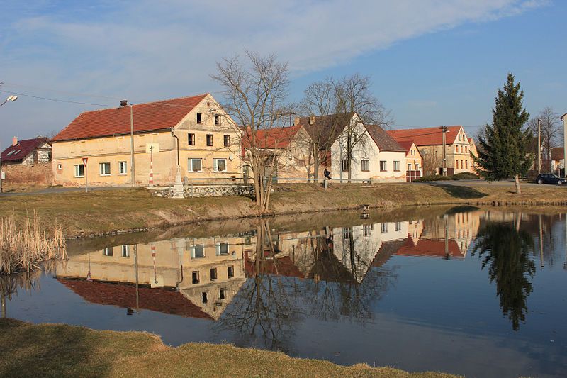 File:Přehýšov, common pond.jpg