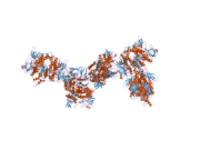 2f5z: Crystal Structure of Human Dihydrolipoamide Dehydrogenase (E3) Complexed to the E3-Binding Domain of Human E3-Binding Protein