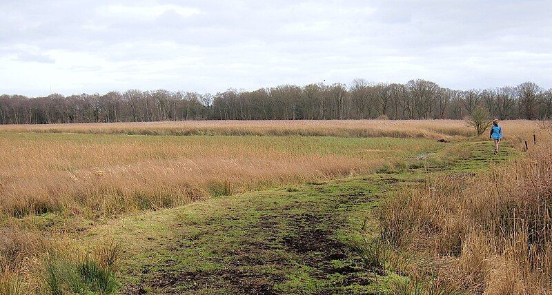 File:Redgrave Fen path.jpg